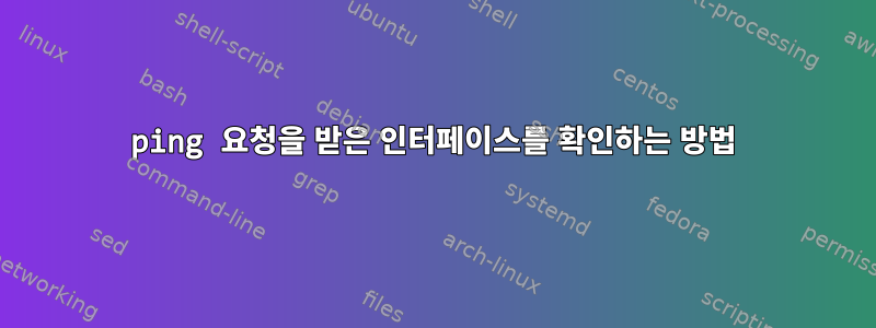 ping 요청을 받은 인터페이스를 확인하는 방법