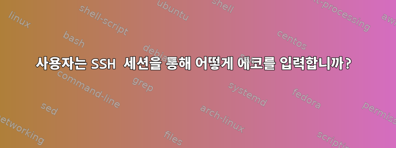 사용자는 SSH 세션을 통해 어떻게 에코를 입력합니까?