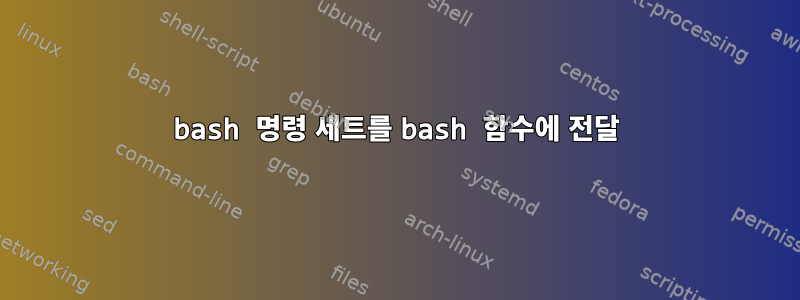 bash 명령 세트를 bash 함수에 전달