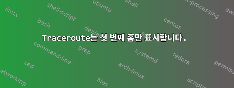 Traceroute는 첫 번째 홉만 표시합니다.