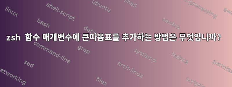 zsh 함수 매개변수에 큰따옴표를 추가하는 방법은 무엇입니까?