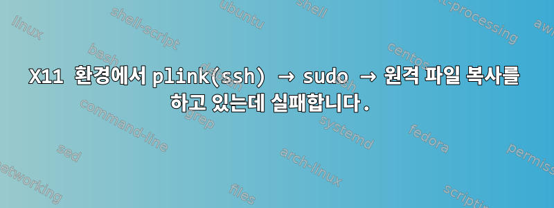 X11 환경에서 plink(ssh) → sudo → 원격 파일 복사를 하고 있는데 실패합니다.