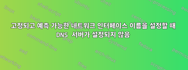 고정되고 예측 가능한 네트워크 인터페이스 이름을 설정할 때 DNS 서버가 설정되지 않음