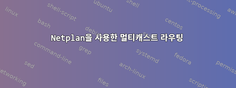 Netplan을 사용한 멀티캐스트 라우팅