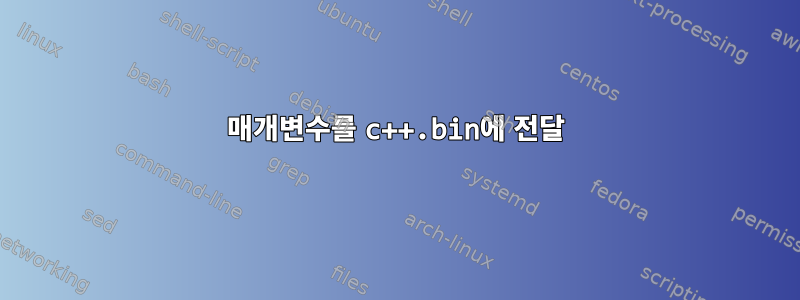 매개변수를 c++.bin에 전달