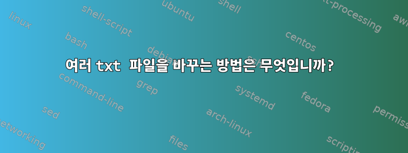 여러 txt 파일을 바꾸는 방법은 무엇입니까?