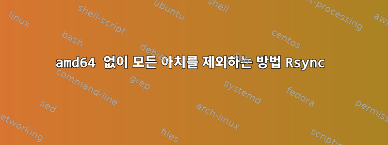 amd64 없이 모든 아치를 제외하는 방법 Rsync