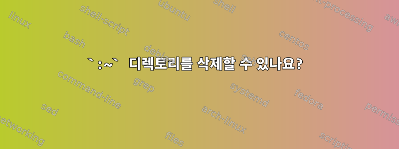 `:~` 디렉토리를 삭제할 수 있나요?