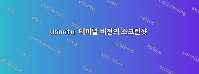 Ubuntu 터미널 버전의 스크린샷