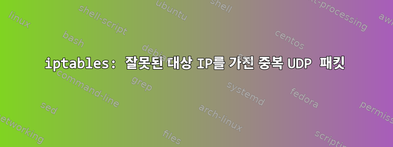 iptables: 잘못된 대상 IP를 가진 중복 UDP 패킷