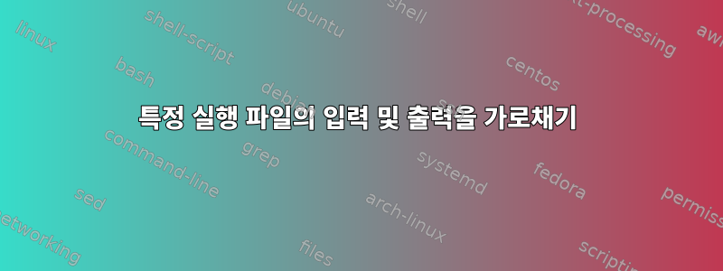 특정 실행 파일의 입력 및 출력을 가로채기