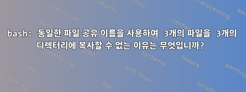 bash: 동일한 파일 공유 이름을 사용하여 3개의 파일을 3개의 디렉터리에 복사할 수 없는 이유는 무엇입니까?