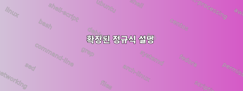 확장된 정규식 설명