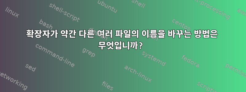 확장자가 약간 다른 여러 파일의 이름을 바꾸는 방법은 무엇입니까?