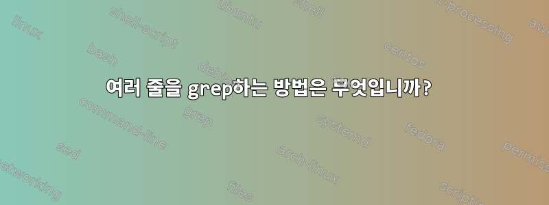 여러 줄을 grep하는 방법은 무엇입니까?