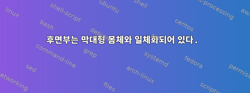 후면부는 막대형 몸체와 일체화되어 있다.