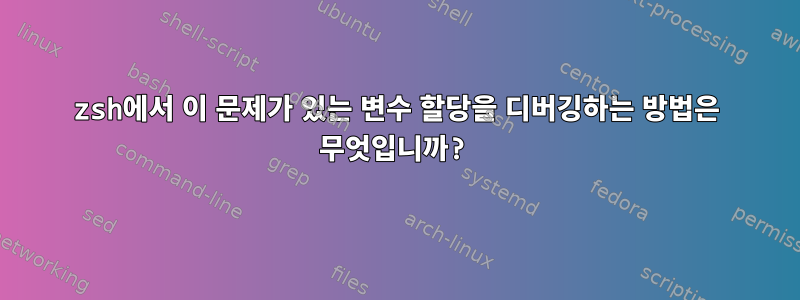 zsh에서 이 문제가 있는 변수 할당을 디버깅하는 방법은 무엇입니까?