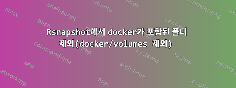 Rsnapshot에서 docker가 포함된 폴더 제외(docker/volumes 제외)