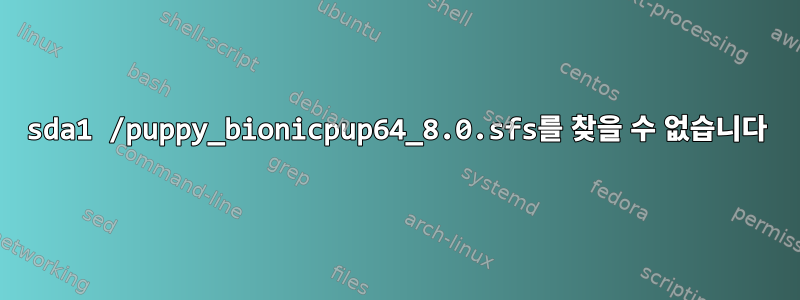 sda1 /puppy_bionicpup64_8.0.sfs를 찾을 수 없습니다