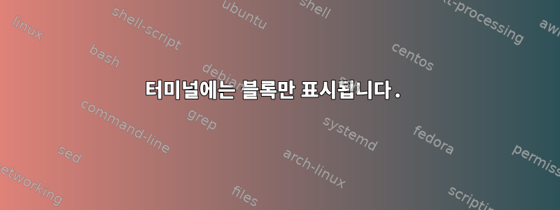 터미널에는 블록만 표시됩니다.