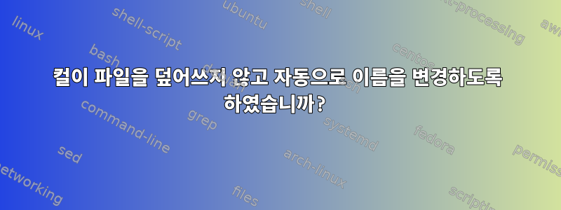 컬이 파일을 덮어쓰지 않고 자동으로 이름을 변경하도록 하였습니까?