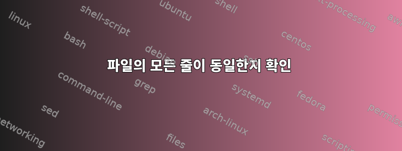 파일의 모든 줄이 동일한지 확인