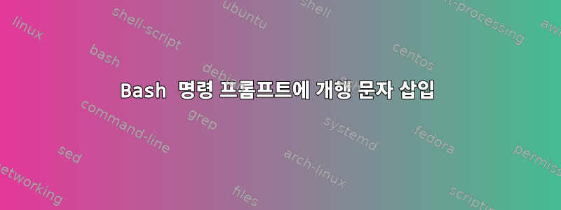 Bash 명령 프롬프트에 개행 문자 삽입