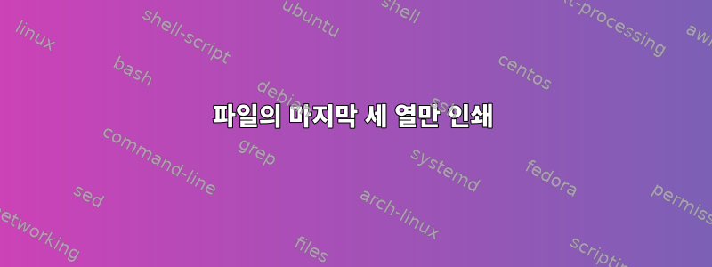 파일의 마지막 세 열만 인쇄