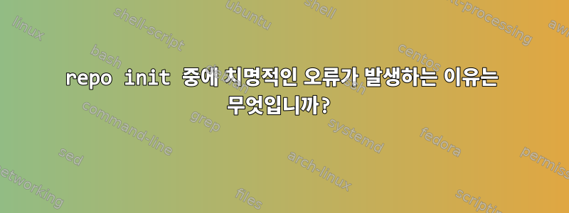 repo init 중에 치명적인 오류가 발생하는 이유는 무엇입니까?