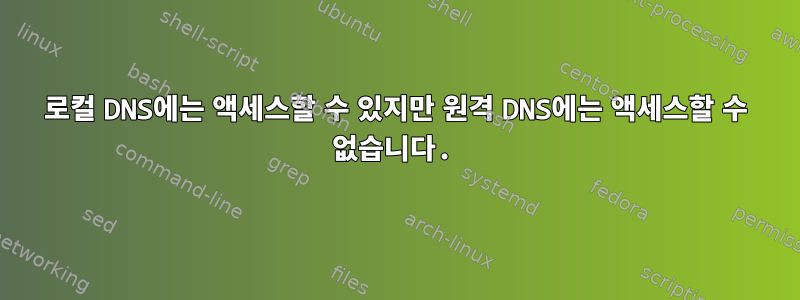 로컬 DNS에는 액세스할 수 있지만 원격 DNS에는 액세스할 수 없습니다.