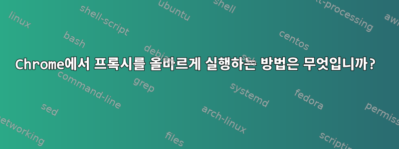 Chrome에서 프록시를 올바르게 실행하는 방법은 무엇입니까?