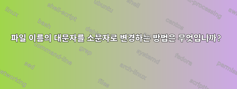 파일 이름의 대문자를 소문자로 변경하는 방법은 무엇입니까?