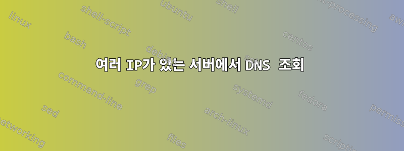 여러 IP가 있는 서버에서 DNS 조회