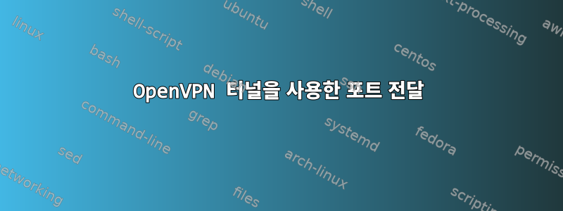 OpenVPN 터널을 사용한 포트 전달