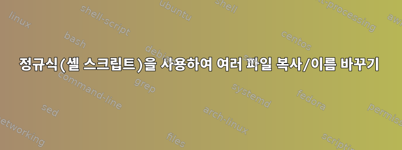 정규식(셸 스크립트)을 사용하여 여러 파일 복사/이름 바꾸기