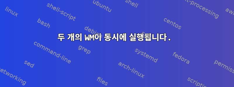 두 개의 WM이 동시에 실행됩니다.