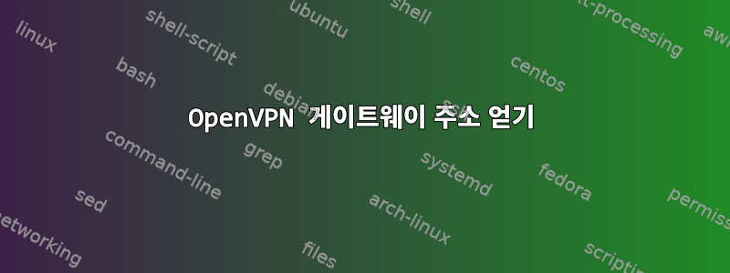 OpenVPN 게이트웨이 주소 얻기