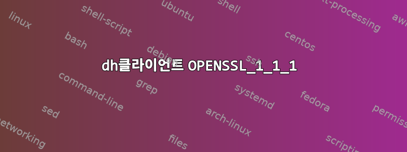 dh클라이언트 OPENSSL_1_1_1