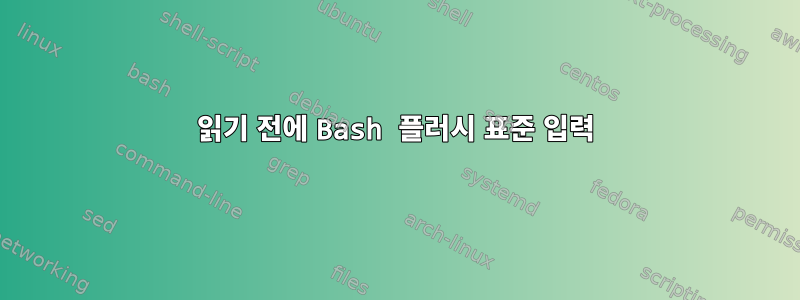 읽기 전에 Bash 플러시 표준 입력