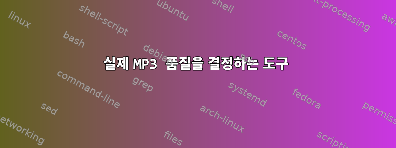 실제 MP3 품질을 결정하는 도구