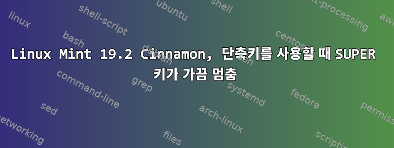 Linux Mint 19.2 Cinnamon, 단축키를 사용할 때 SUPER 키가 가끔 멈춤