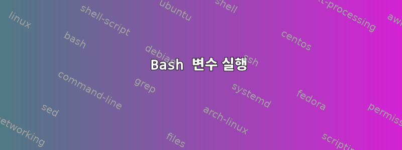 Bash 변수 실행