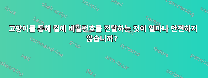 고양이를 통해 컬에 비밀번호를 전달하는 것이 얼마나 안전하지 않습니까?