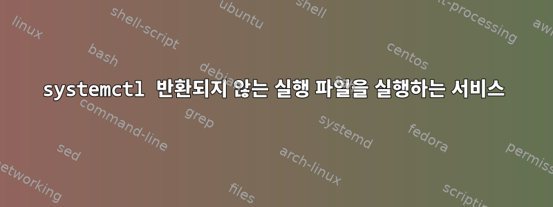 systemctl 반환되지 않는 실행 파일을 실행하는 서비스