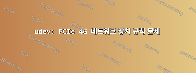 udev: PCIe 4G 네트워크 장치 규칙 문제