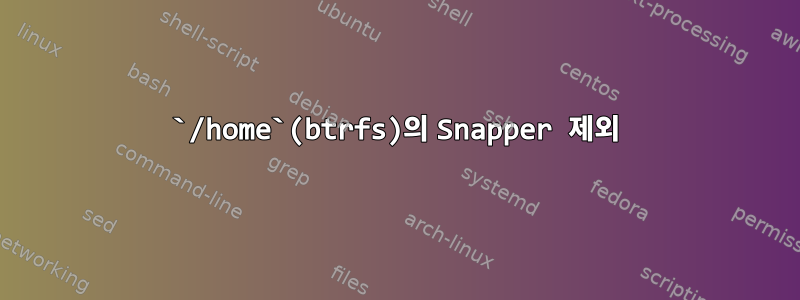 `/home`(btrfs)의 Snapper 제외