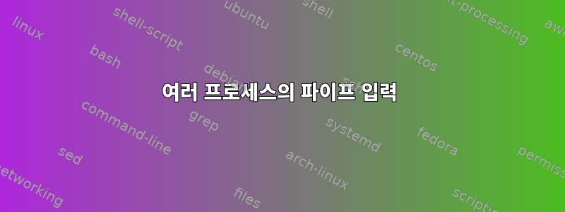 여러 프로세스의 파이프 입력