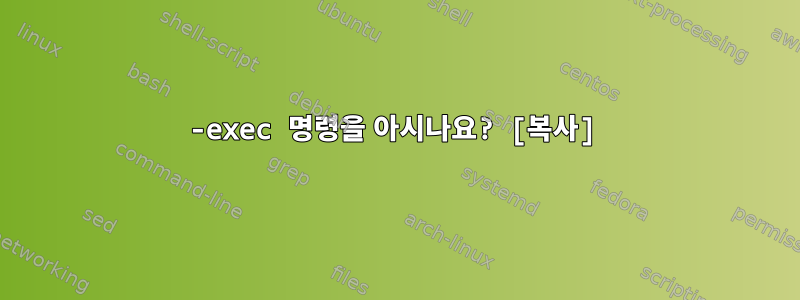 -exec 명령을 아시나요? [복사]