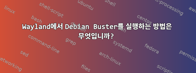 Wayland에서 Debian Buster를 실행하는 방법은 무엇입니까?