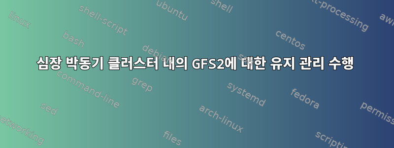 심장 박동기 클러스터 내의 GFS2에 대한 유지 관리 수행